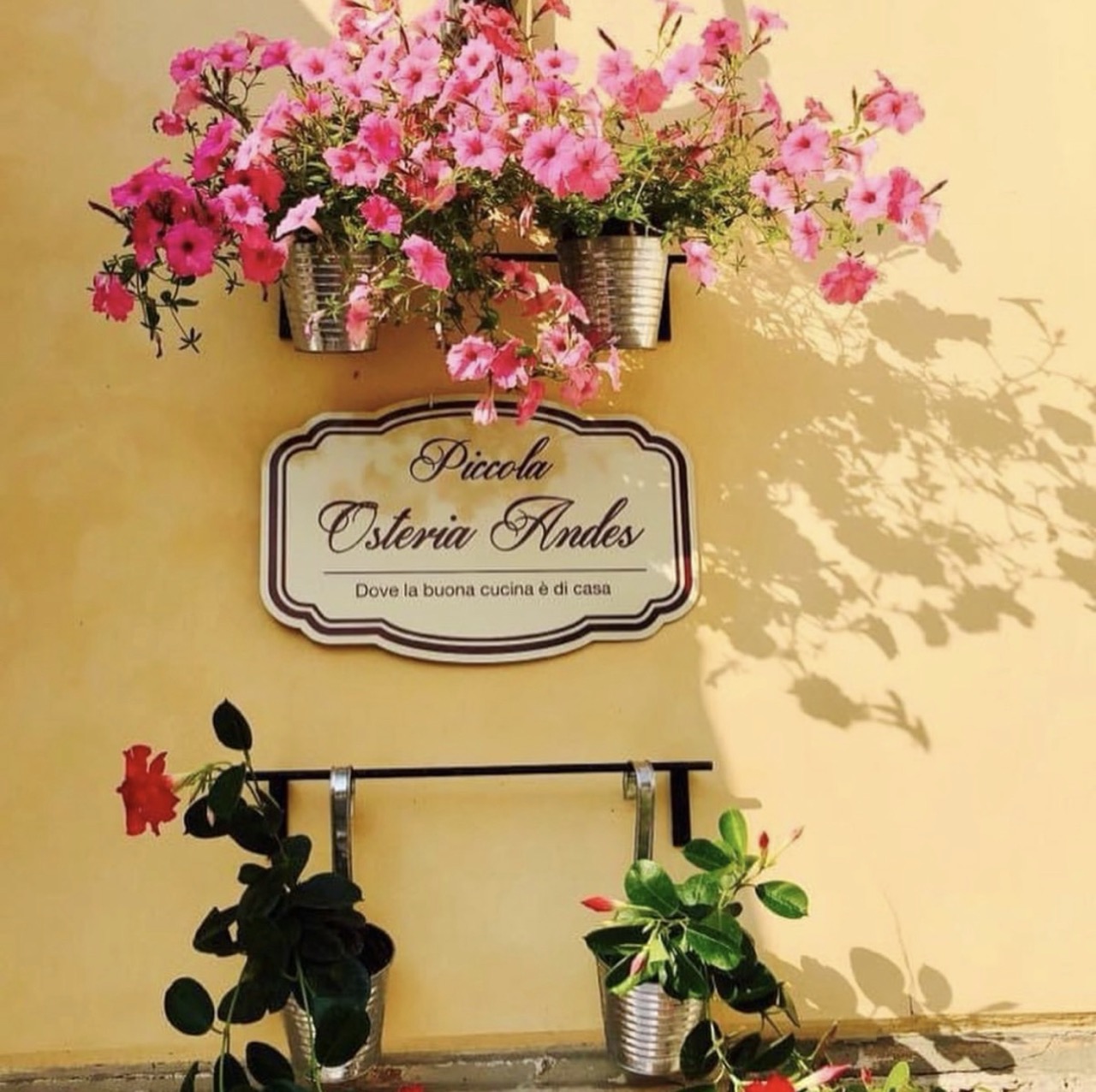 Piccola Osteria Andes
