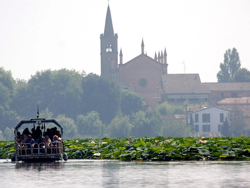 Paesaggio del Parco del Mincio